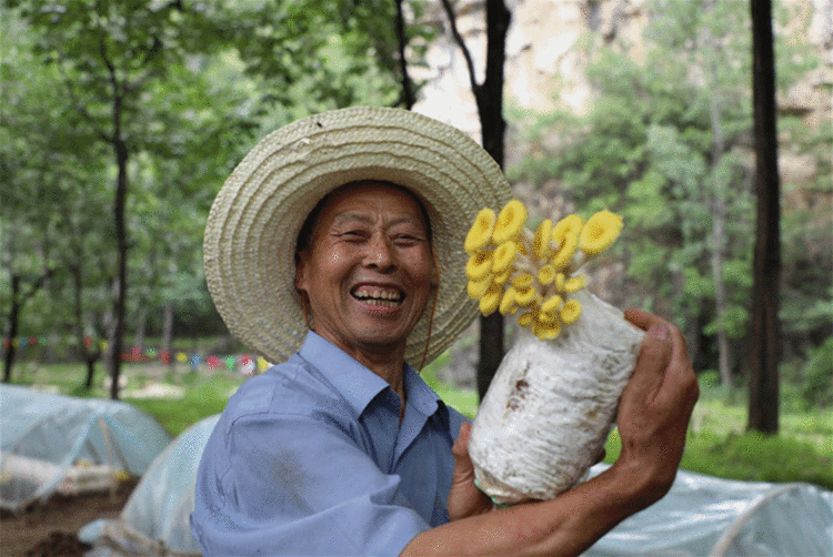 乡村振兴进行时｜河北：种出来的幸福感 “果”真甜！