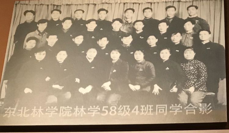 一阅60年！来这里，看塞罕坝人的创业故事