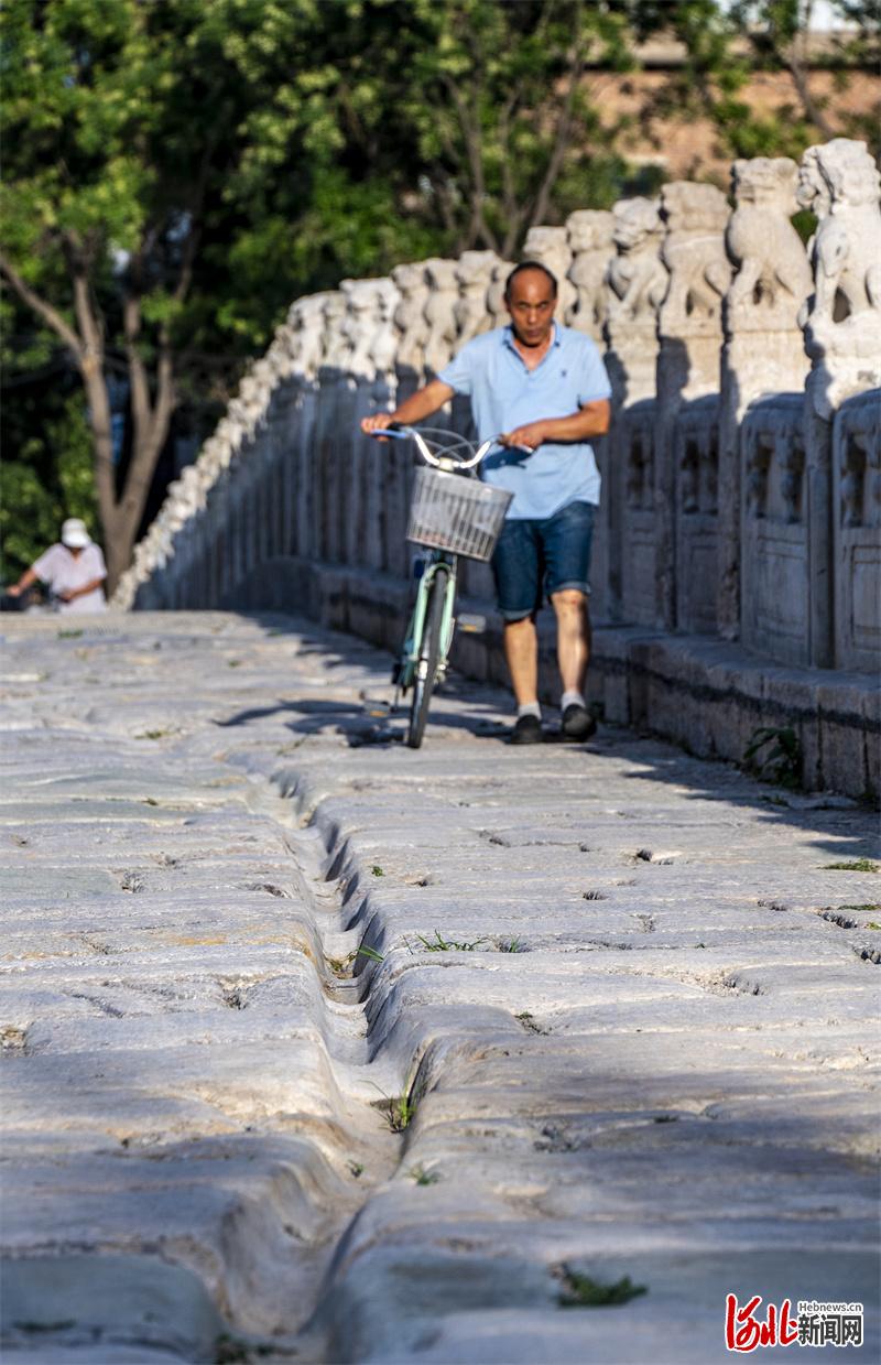 河北衡水：生态湖城 熠熠生辉