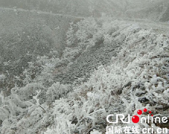 【已过审】【八桂大地、八桂大地-河池】万亩草甸现雾凇 环江公安冰地中坚守