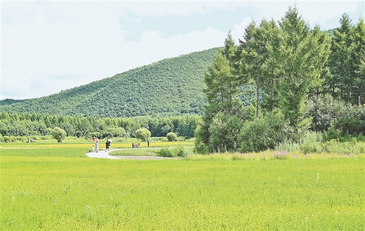 伊春：让沙坑池塘变成一道道小微景观