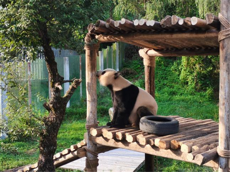 陕西汉中 | 生物多样性保护成果显著 汉中市生态文明建设迈上新征程_fororder_图片8_副本1