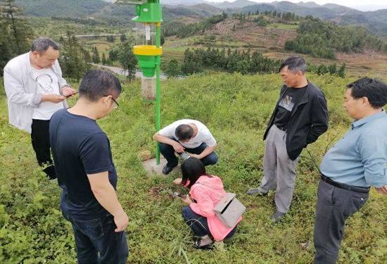 贵州六盘水：“四个到位”持续强化林业 有害生物防治水平_fororder_林业3