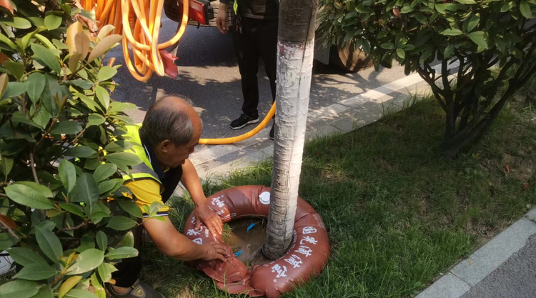 西安经开区：行道树自带喝水“神器” 抗旱又解渴_fororder_sss