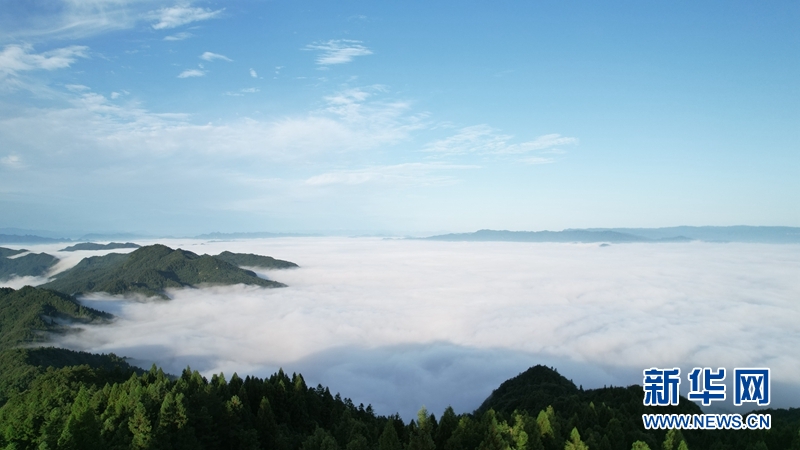 日出薤山 云海美如幻