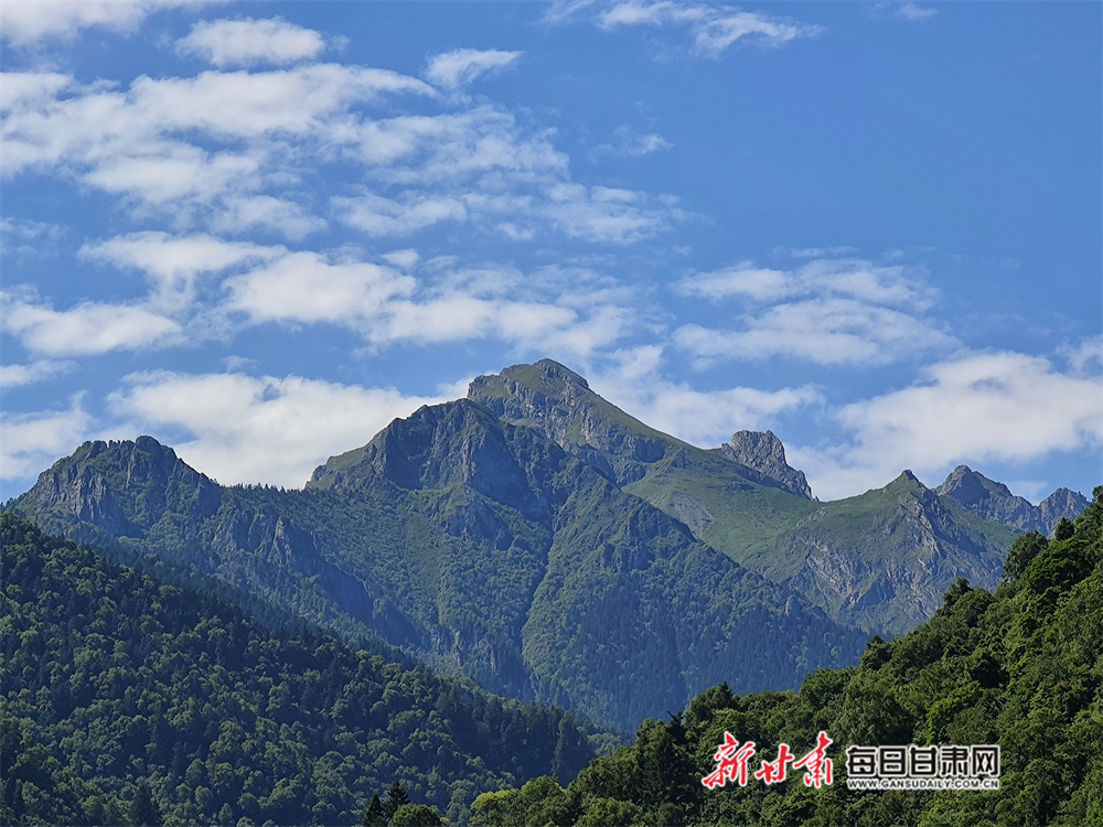 【大美甘肃】巍峨群山蓝黛染 绿波翻滚醉眼帘 陇南宕昌黄家路林区移步皆是景_fororder_1