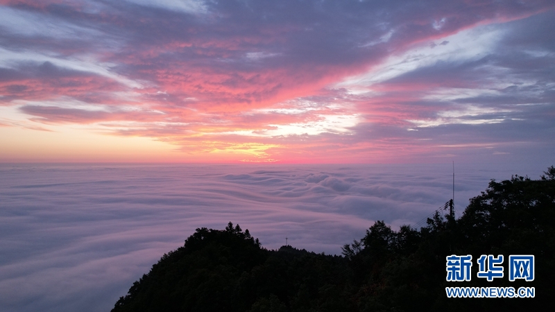 日出薤山 云海美如幻