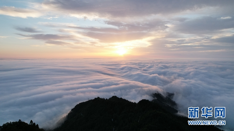 日出薤山 云海美如幻