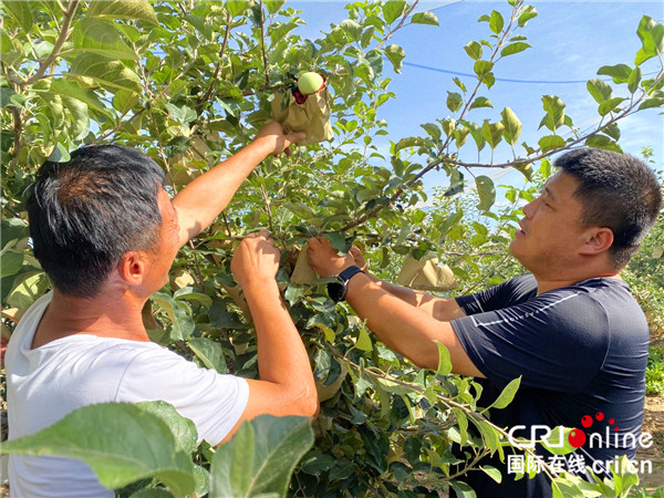 （有修改）延安市宝塔区：追赶超越中有“新”也有“心”