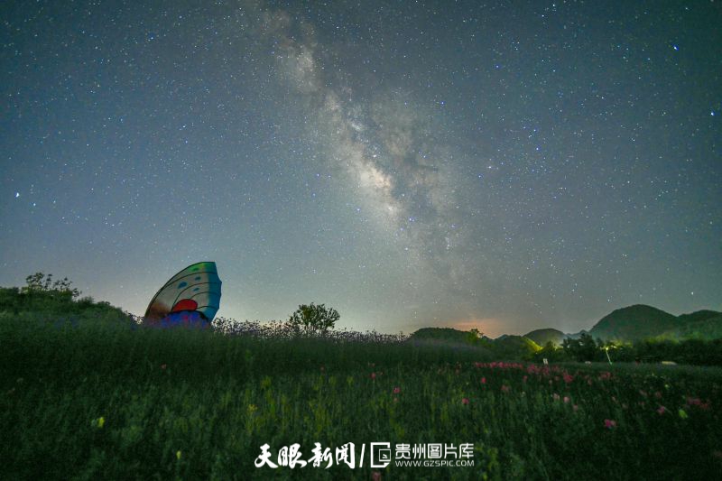 鸟瞰贵州毕节百里杜鹃彝山花谷