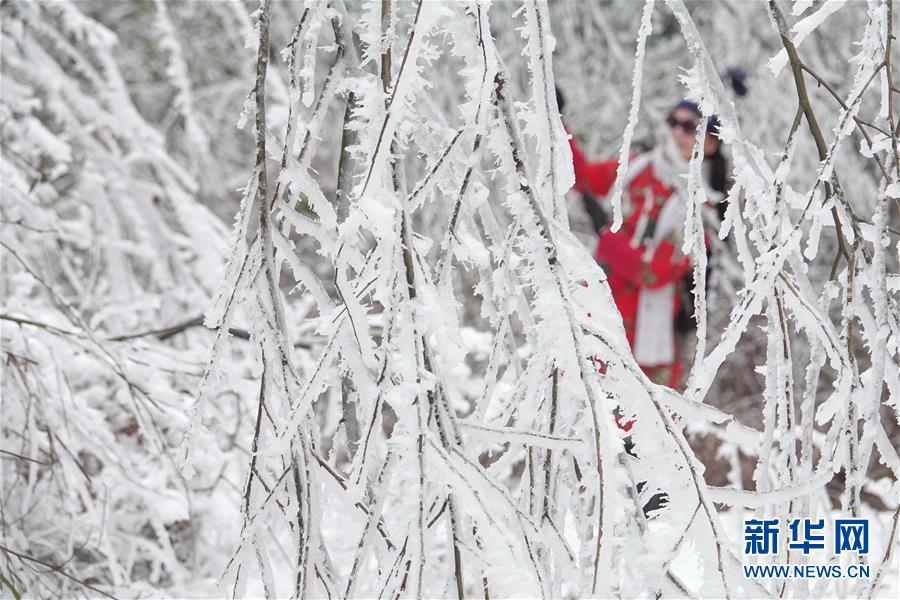 贵阳云雾山雪景醉游人