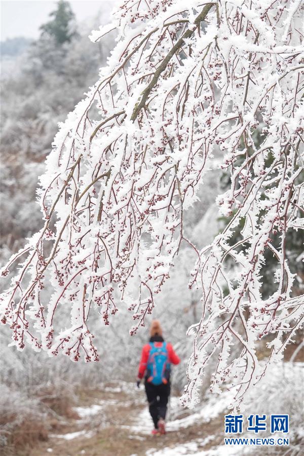 贵阳云雾山雪景醉游人