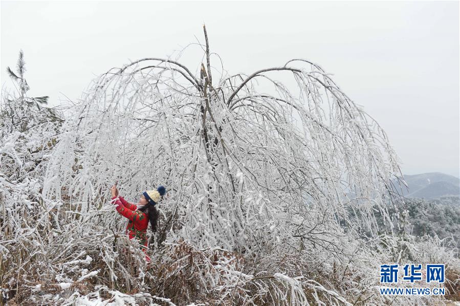 贵阳云雾山雪景醉游人