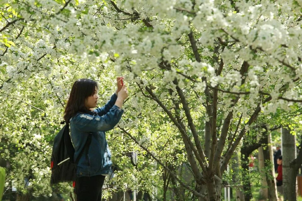 美景山东｜济南植物园：奥妙无穷的植物王国