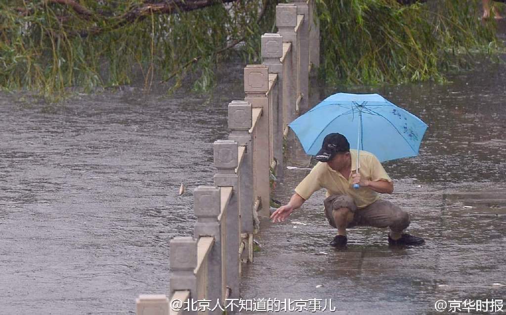 图片默认标题