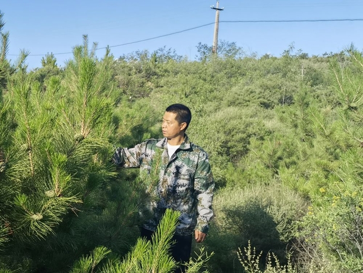 筑牢京津冀生态屏障 河北13万余名林长守护绿水青山_fororder_1.0