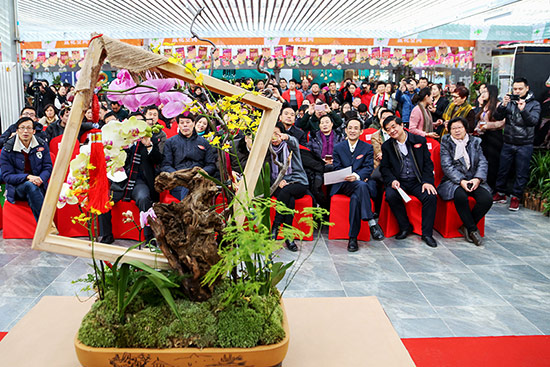 2018迎春年宵花展花乡开幕 北京本地花卉占据半壁江山