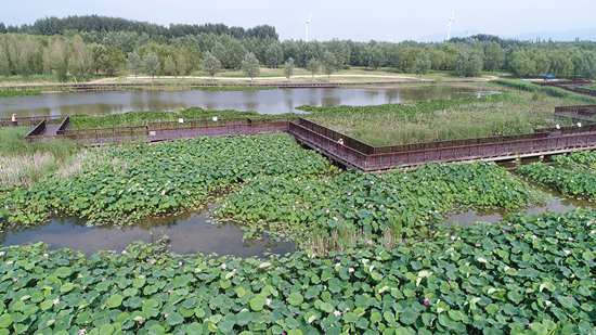 河北全力打造“首都两区”建设典范区——“一泓碧水”滋养京冀百姓 “生态明珠”助力协同发展