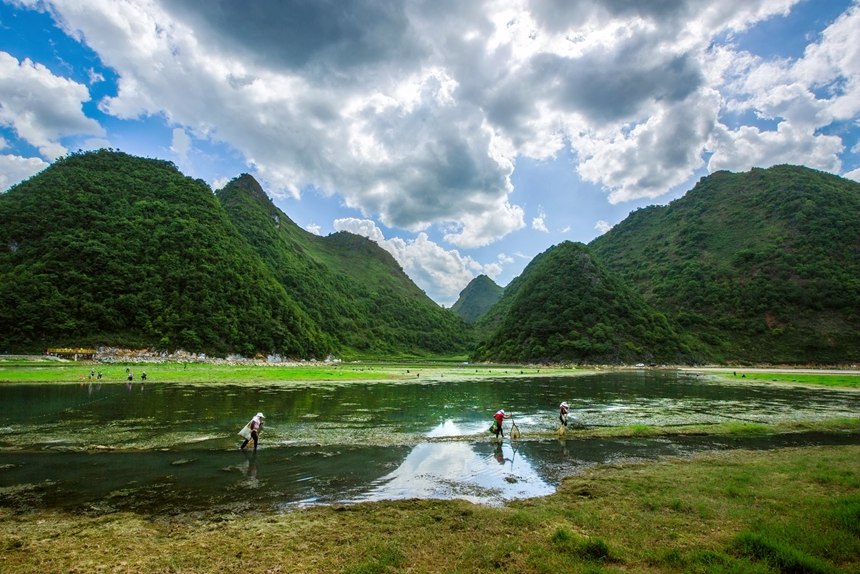 广西西林：湖草两相宜 醉美盆歪湖