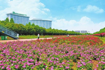 南阳确立建设省域副中心城市“路线图” “三区一中心一高地”促崛起