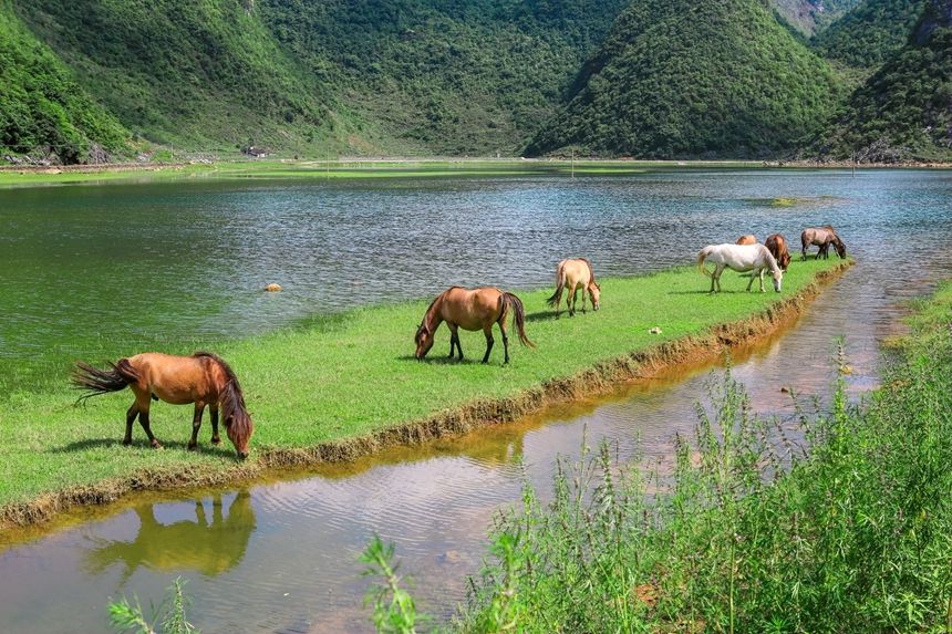 广西西林：湖草两相宜 醉美盆歪湖