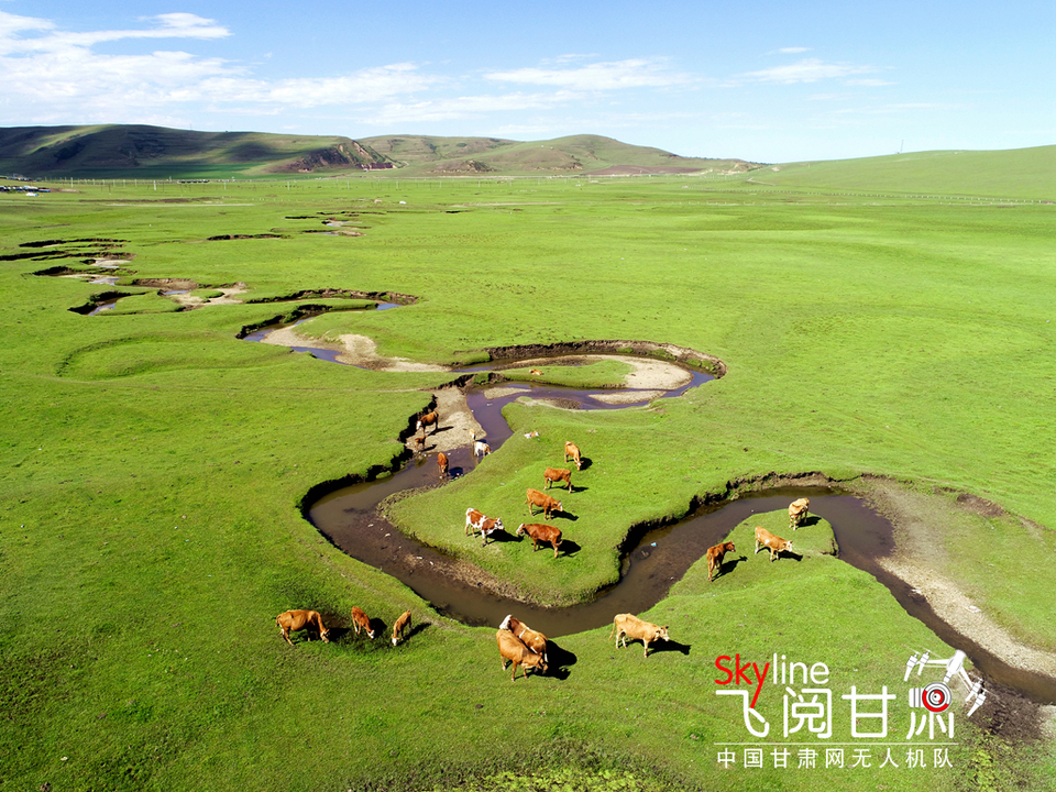 【焦点轮播图】【飞阅甘肃】盛夏狼渡滩 藏在定西岷县的草原秘境_fororder_1