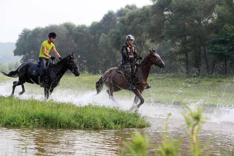 朝阳南台村：夏日生态美，马踏水花飞