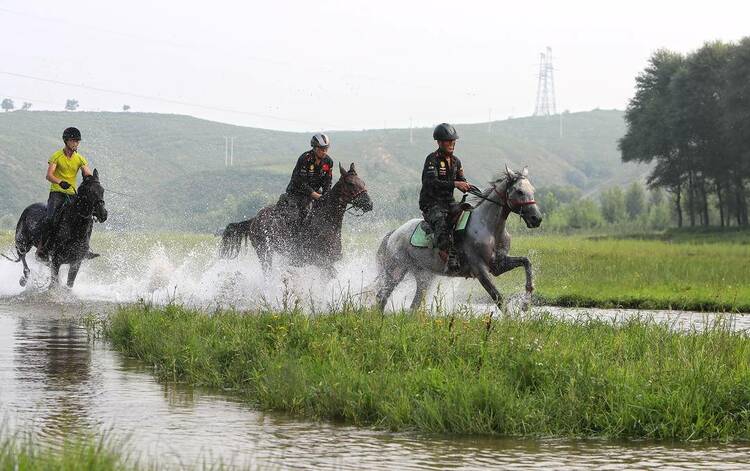 朝阳南台村：夏日生态美，马踏水花飞