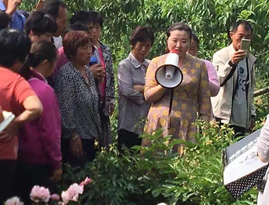 （有修改）【B】濮阳市范县中药材种植能手高爱霞：巾帼创辉煌 脱贫有担当