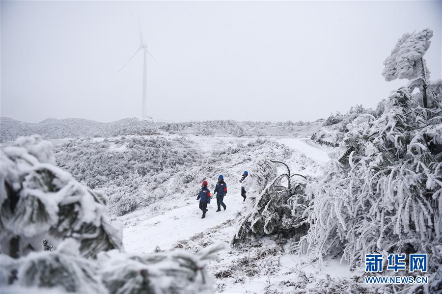 贵州六盘水：梅花山上的风雪巡线人