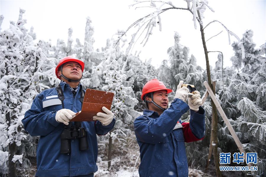 贵州六盘水：梅花山上的风雪巡线人