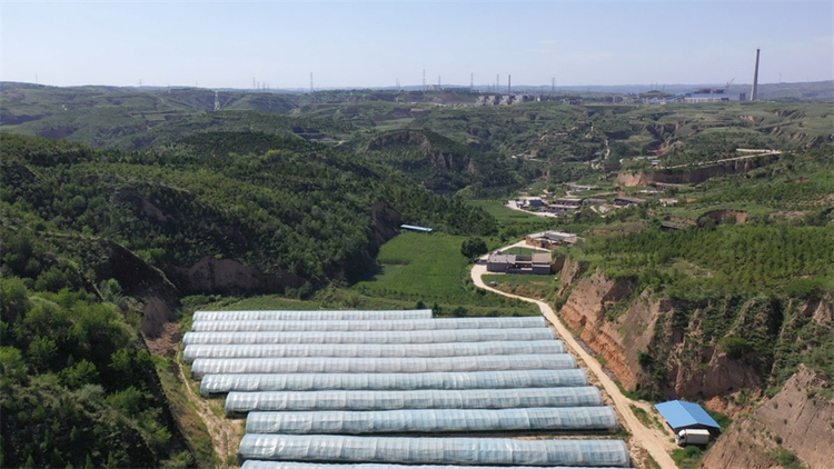 榆林市府谷县杨家沟村：新时代新作为 宜居宜业宜游_fororder_微信图片_20220805162314