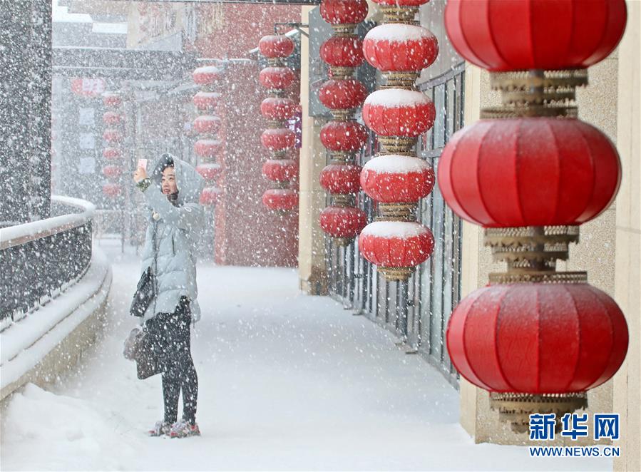 山东半岛迎春雪