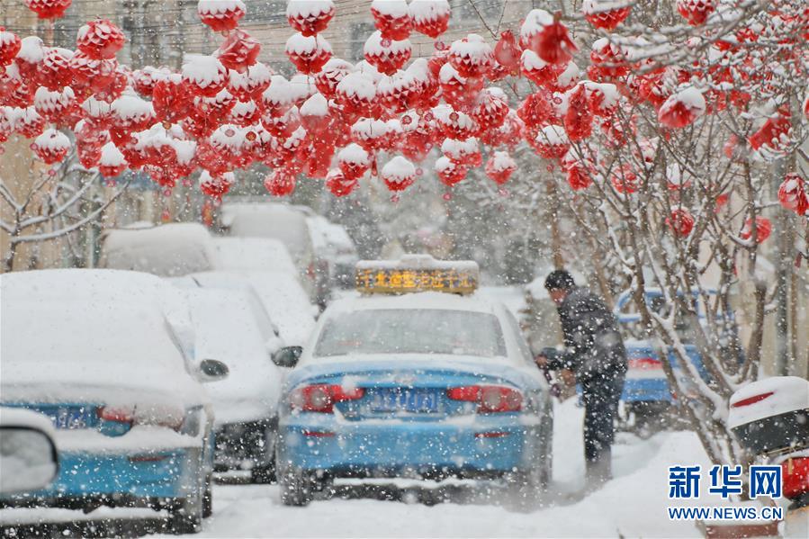 山东半岛迎春雪