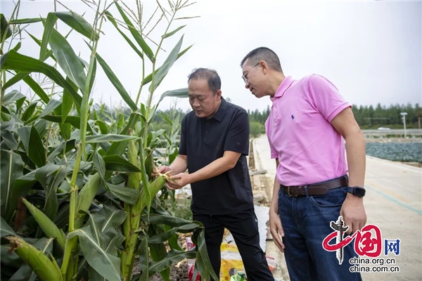 （转载）雅安市人大常委会主任白云赴汉源县调研