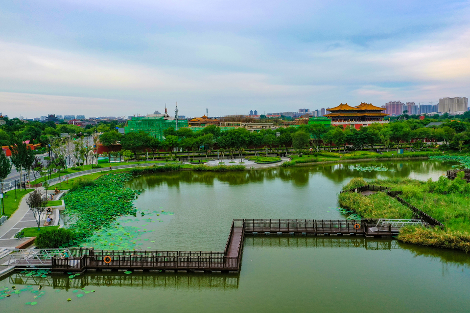 河南开封：西北湖湿地公园满目苍翠