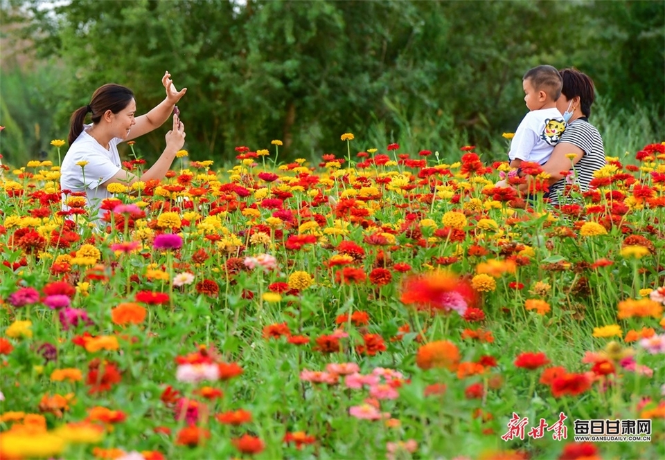 【轮播图】秋天到大漠敦煌赏花海_fororder_4