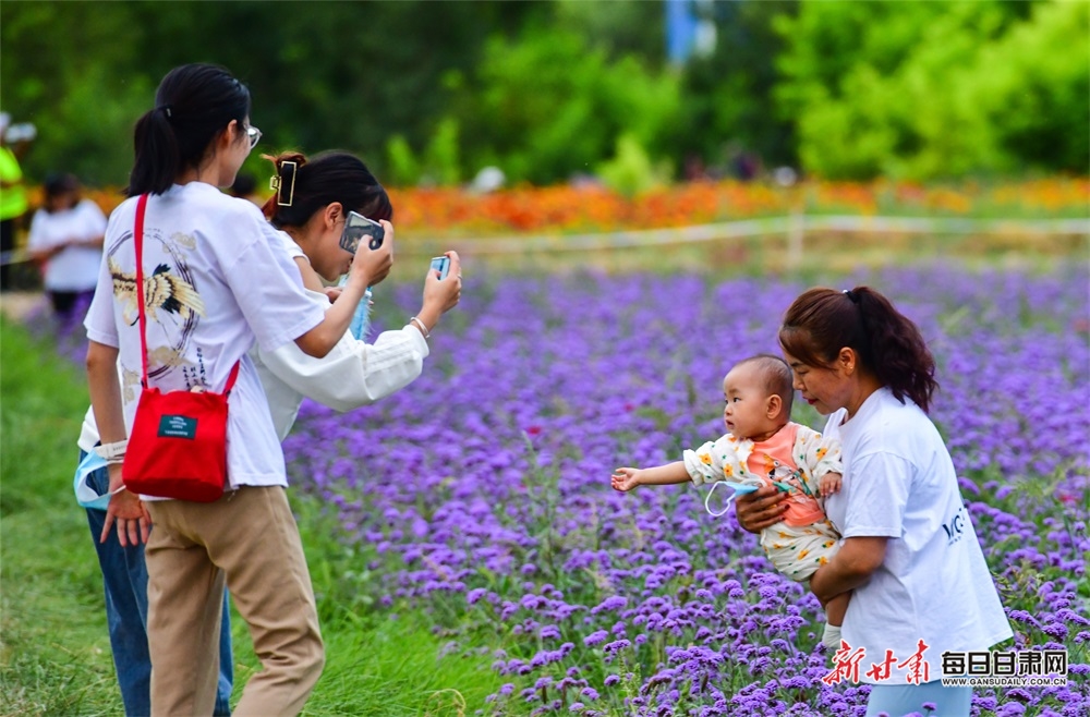 【轮播图】秋天到大漠敦煌赏花海_fororder_1