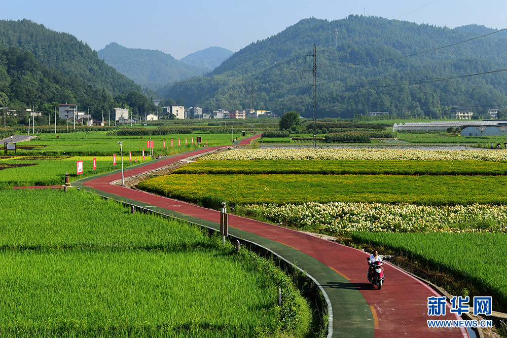 湖北咸丰：田园风光如画卷