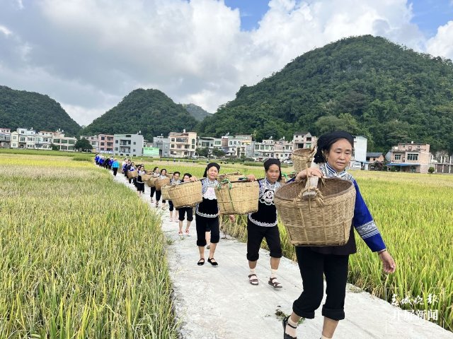 文山广南：八宝“尝新节” 欢声笑语庆丰收