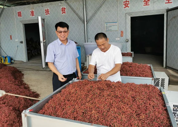 信阳市平桥区：金融活水激活乡村“美丽经济”