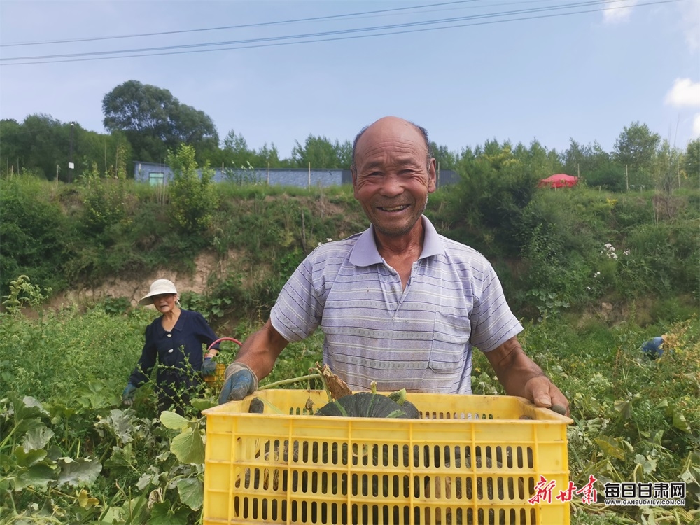 【平凉】平凉庄浪：梯田瓜果飘香 特色产业富农_fororder_3