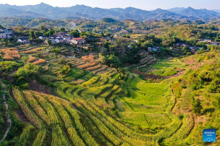 Scenery of Shiping Village in Chongqing, SW China_fororder_图片5