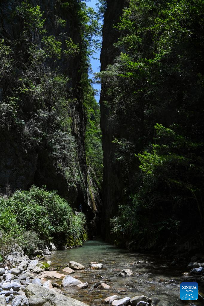 View of Chongqing Wulipo National Nature Reserve in Wushan County, Chongqing_fororder_图片18