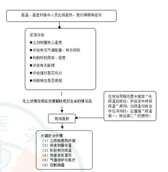 西安交大一附院专家提示：高温天气下户外活动需警惕热射病