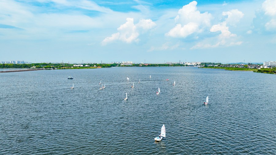 江苏无锡：白帆点点竞风流