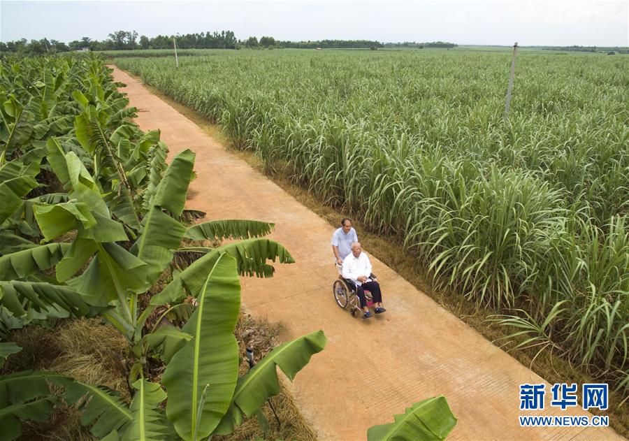 家规如山——记优秀共产党员、广东湛江市前政协主席陈光保