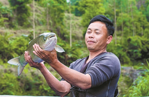 广西容县：石窝山泉养好生态鱼