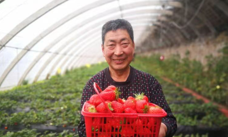 承德大贵口村：全面推进乡村振兴 绘就美丽乡村画卷