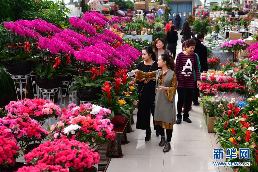 河北唐山：鲜花扮靓佳节